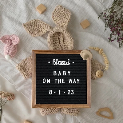 Flash Furniture Gracie 10x10 Felt Letter Board with Solid Wood Frame and 389 Character Set 1 Flash Furniture Gracie 10x10 Felt Letter Board with Solid Wood Frame and 389 Character Set